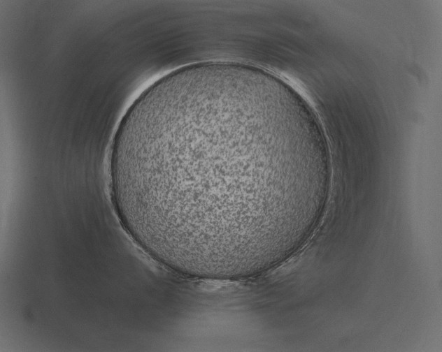 X0000116561056200912241611