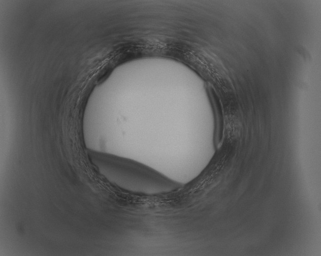 X0000116561057200912241610