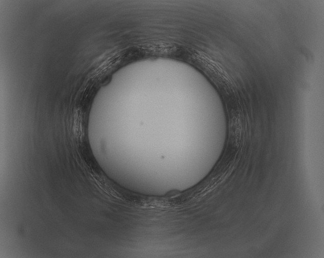 X0000116561058200912241610