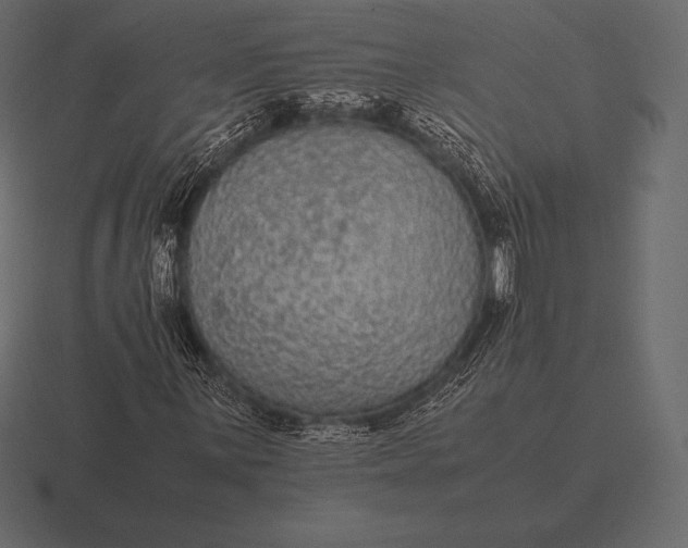 X0000116561059200912241610