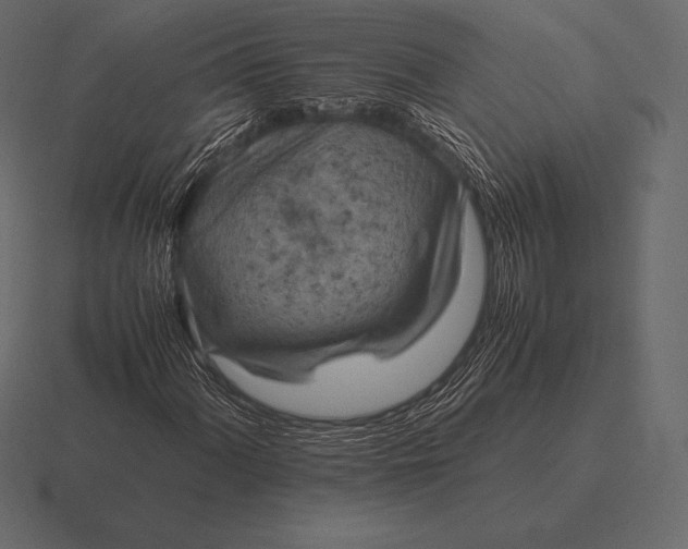 X0000116561060200912241610