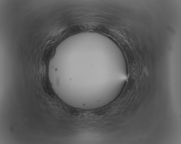 X0000116561061200912241610