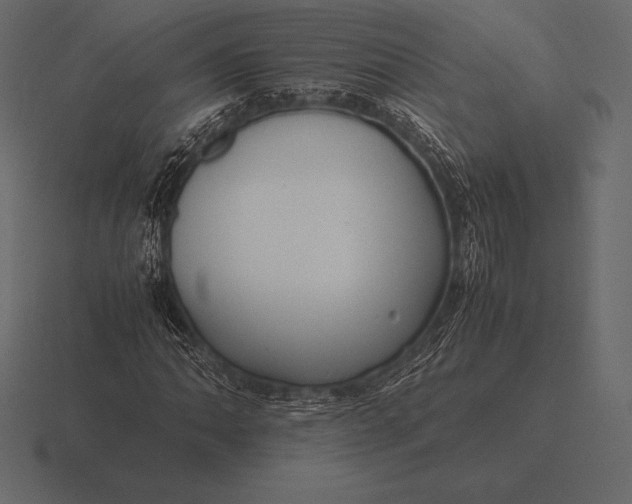 X0000116561062200912241610