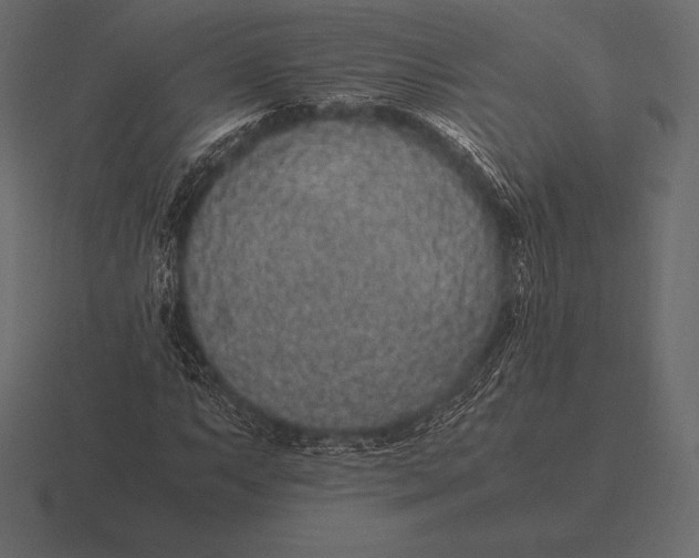 X0000116561063200912241610