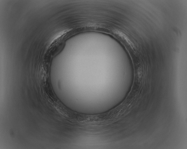 X0000116561064200912241610