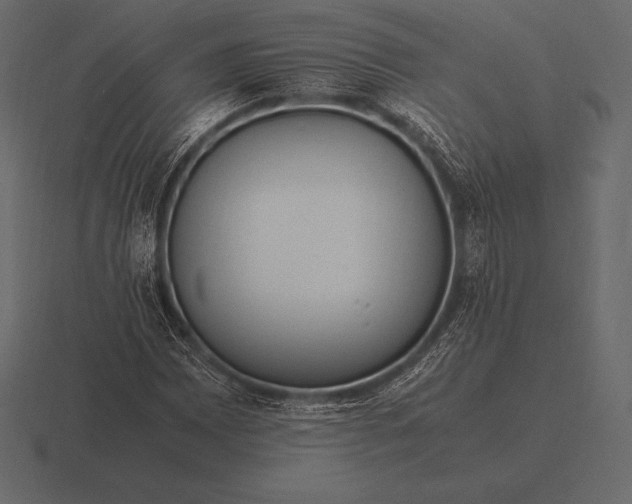 X0000116561065200912241610