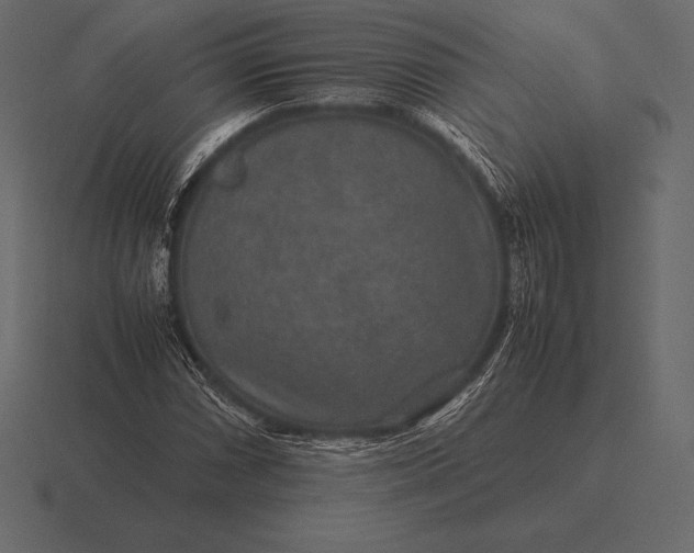 X0000116561066200912241610