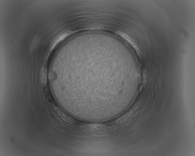 X0000116561067200912241610