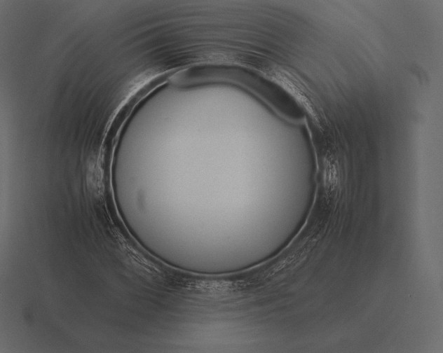 X0000116561068200912241610