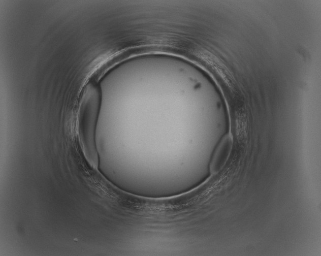 X0000116561069200912241610