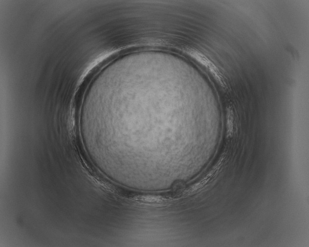 X0000116561070200912241610