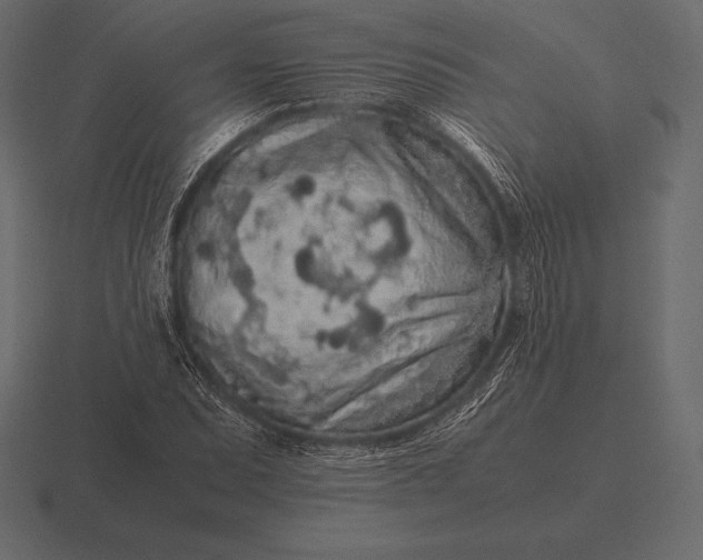 X0000116561071200912241610