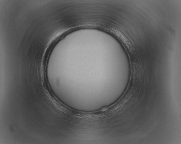 X0000116561072200912241610