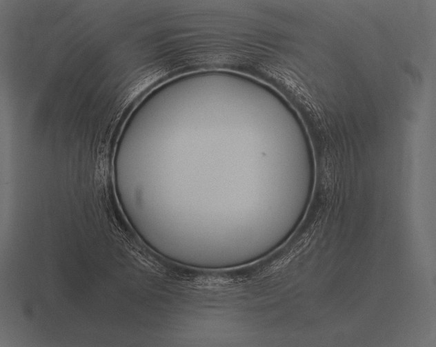 X0000116561073200912241610