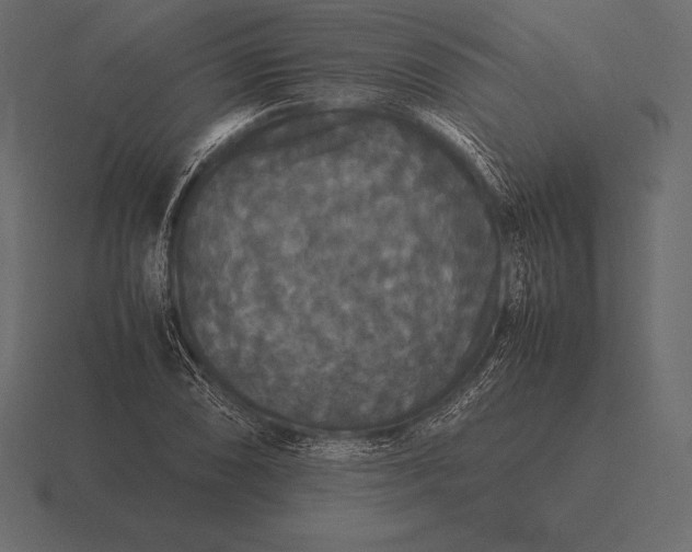 X0000116561074200912241610