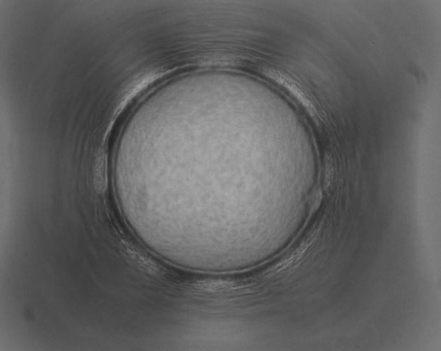 X0000116561075200912241610