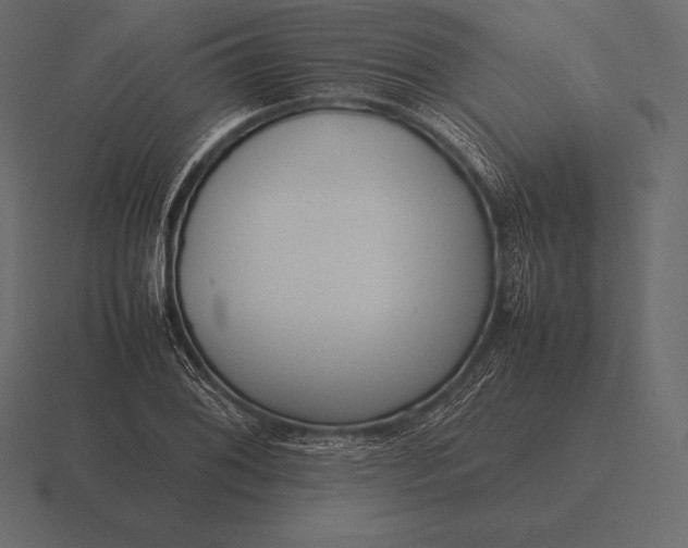 X0000116561076200912241610