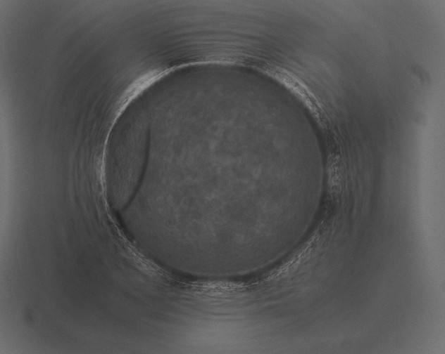 X0000116561077200912241610