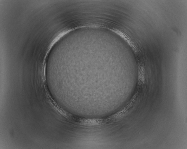 X0000116561078200912241610