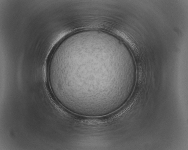 X0000116561079200912241610