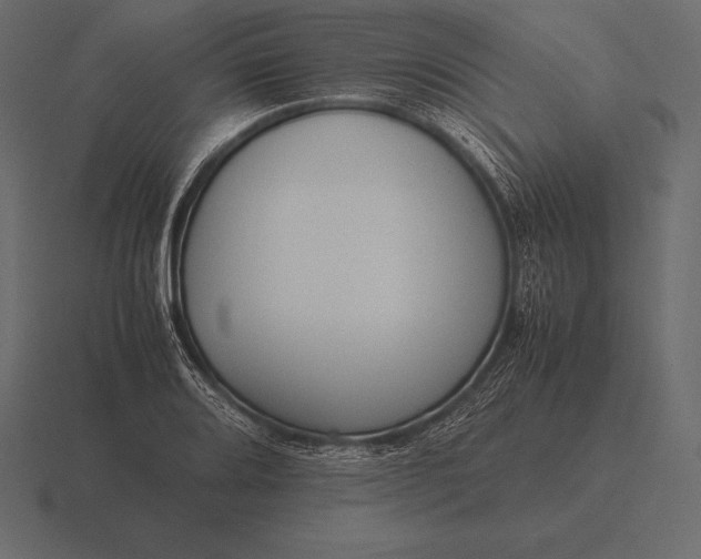 X0000116561080200912241610