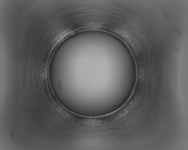 X0000116561081200912241610