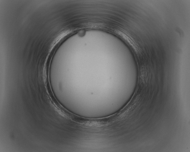 X0000116561082200912241610