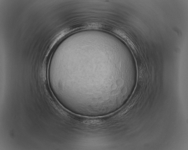 X0000116561083200912241610