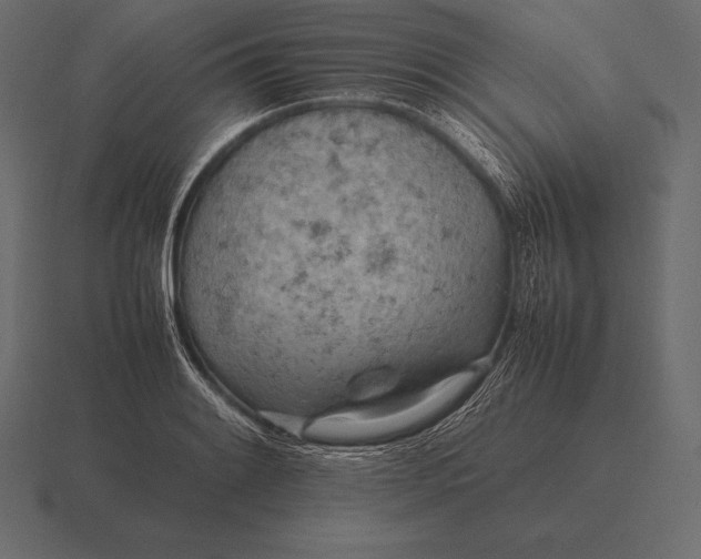 X0000116561084200912241610