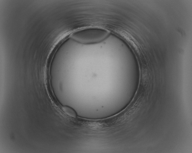 X0000116561085200912241610