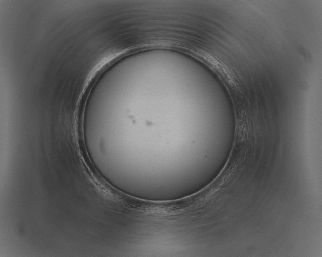 X0000116561086200912241610