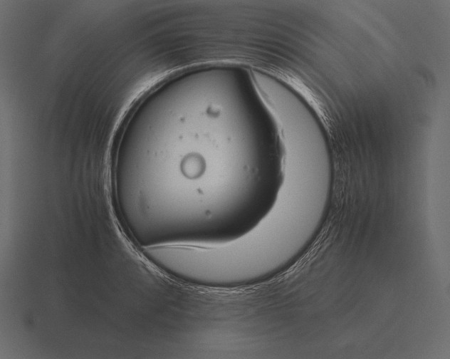 X0000116561088200912241610