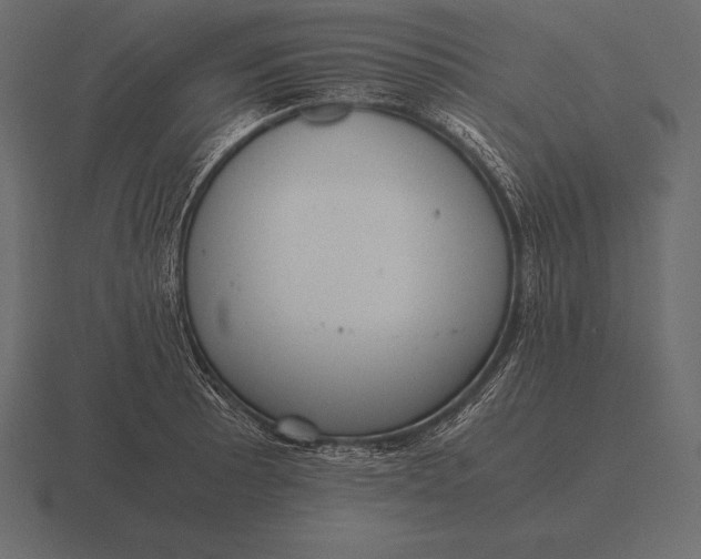 X0000116561089200912241610