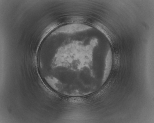 X0000116561090200912241610