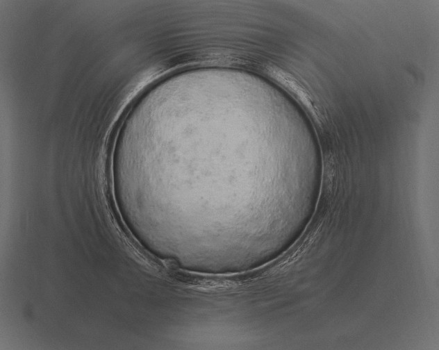 X0000116561091200912241610