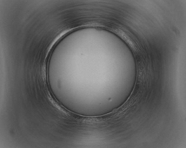 X0000116561092200912241610