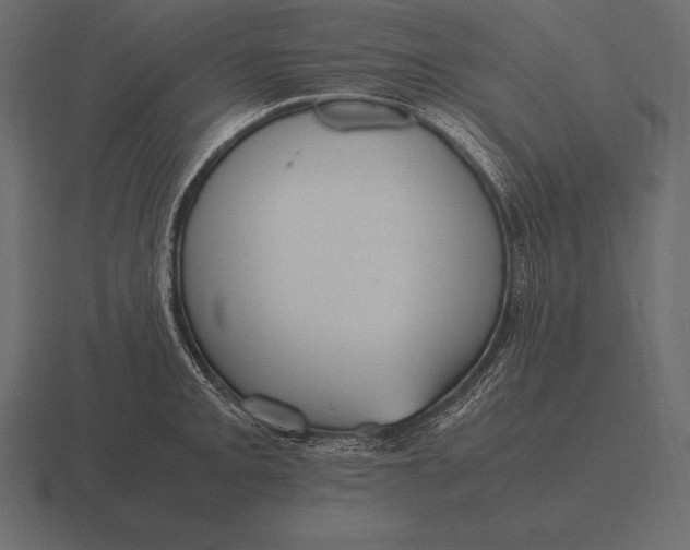 X0000116561093200912241610