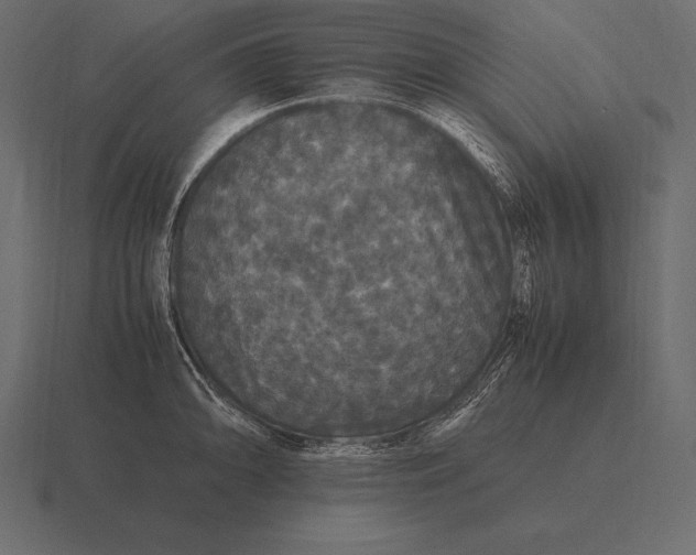 X0000116561094200912241610