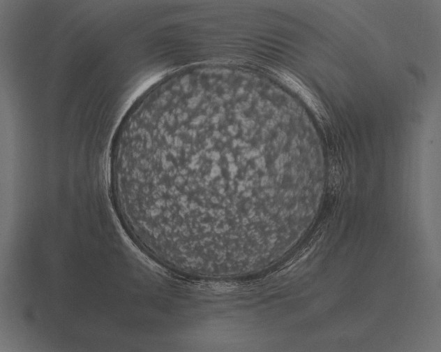 X0000116561095200912241610