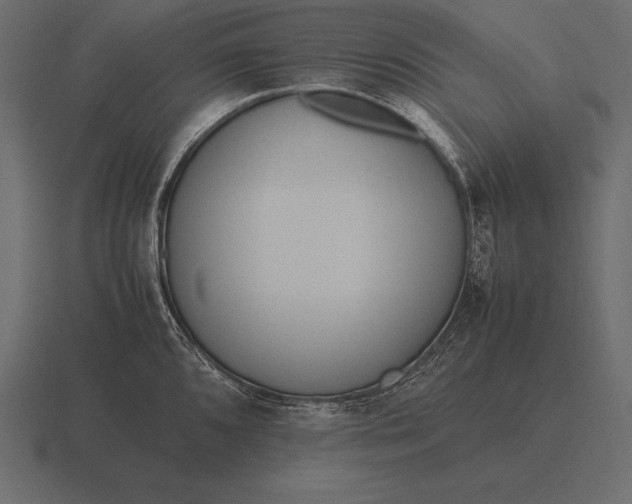 X0000116561096200912241610