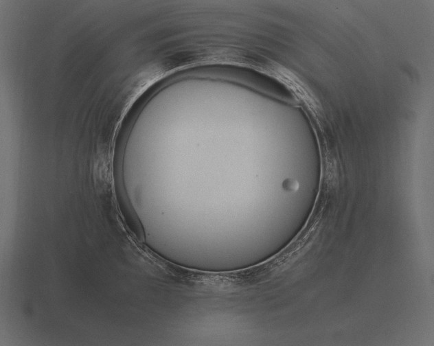 X0000116561097200912241610