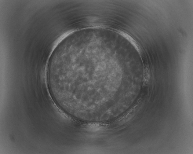 X0000116561098200912241610