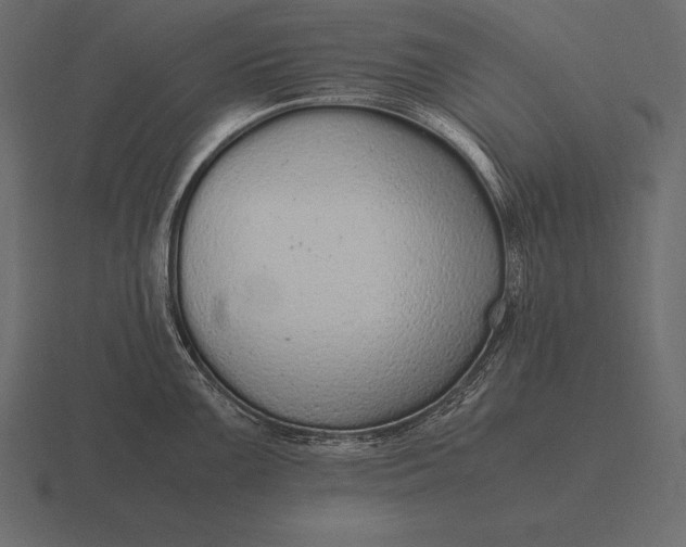 X0000116561099200912241610