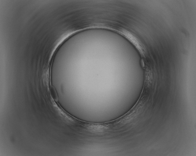 X0000116561100200912241610