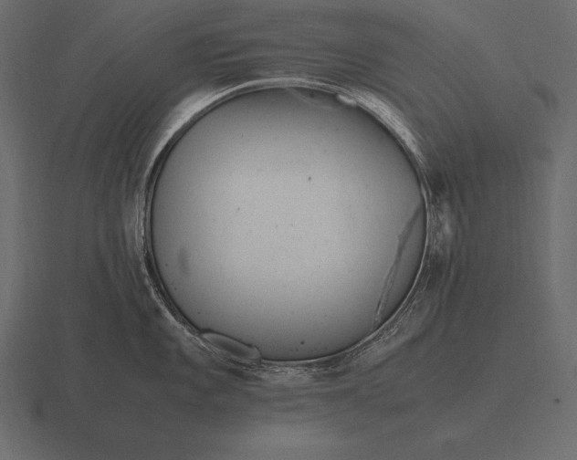 X0000116561101200912241610