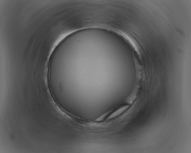 X0000116561102200912241610