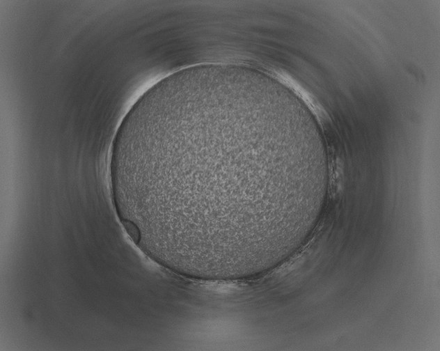 X0000116561103200912241610