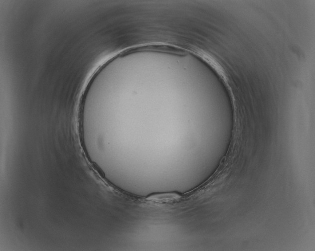 X0000116561104200912241610