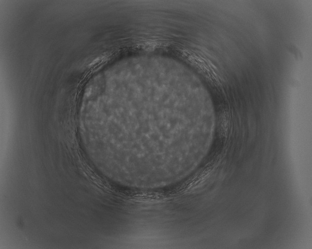 X0000116561105200912241609