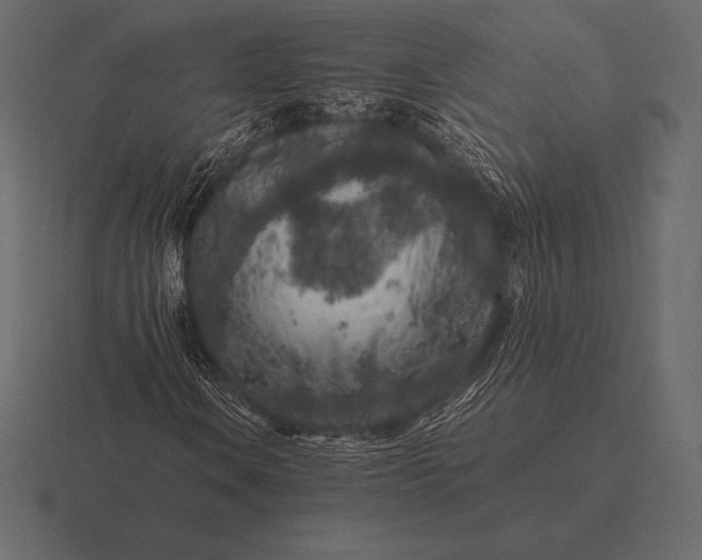 X0000116561106200912241609